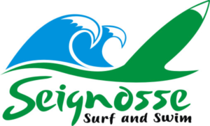 Logo Design by Den Bagus
