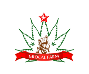 Logo Design by cipta.satria.adi for this project | Design #14581042