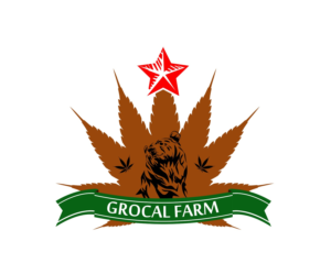 Logo Design by cipta.satria.adi for this project | Design: #14581043