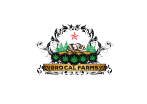 Logo Design by fisekovic goran for this project | Design: #14632831
