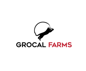 Logo Design by Top king  designer for this project | Design: #14489656
