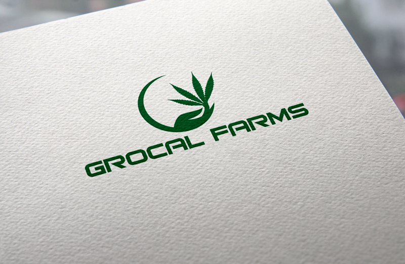 Logo-Design von solzar design für dieses Projekt | Design #14591028