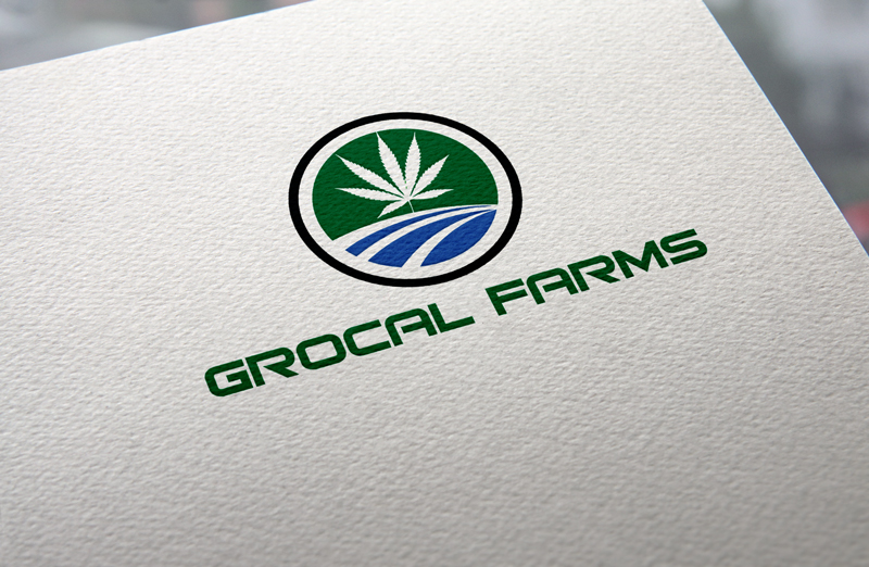 Logo-Design von solzar design für dieses Projekt | Design #14591032