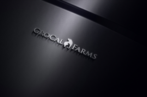 Logo Design by rocklee for this project | Design: #14556414