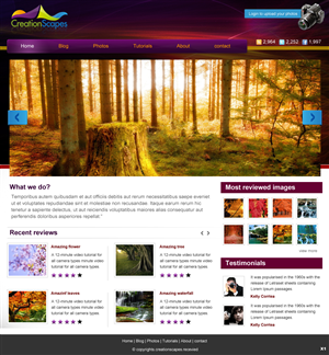 Wordpress Design by pb for this project | Design: #568482