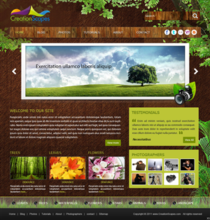Design Wordpress par pb
