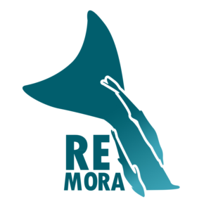 Logo Design by tomisugiarto