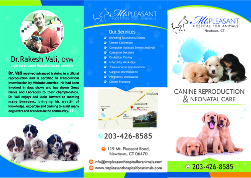 Flyer Design by Shiny Design for this project | Design #14596840