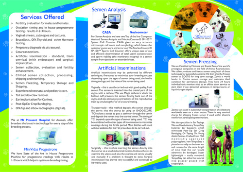 Flyer Design by Shiny Design for this project | Design #14596841