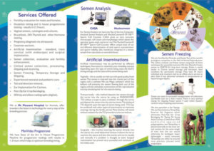 Design de Flyer par Shiny Design pour ce projet | Design : #14596841