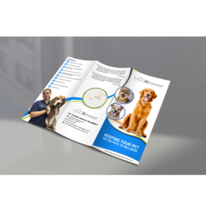 Design de Flyer par debdesign pour ce projet | Design : #14507402