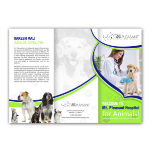 Design de Flyer par creative.bugs pour ce projet | Design : #14517707
