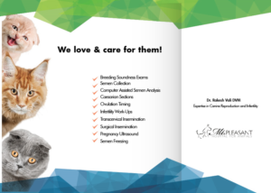 Flyer Design by Sarina.dsg for this project | Design: #14496452