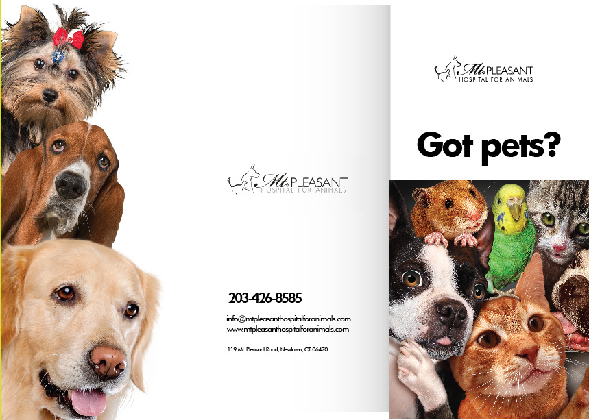 Flyer Design by Sarina.dsg for this project | Design #14496547