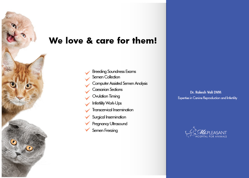 Flyer Design by Sarina.dsg for this project | Design #14496548