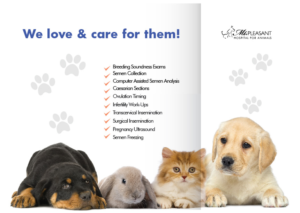 Flyer Design by Sarina.dsg for this project | Design: #14496549