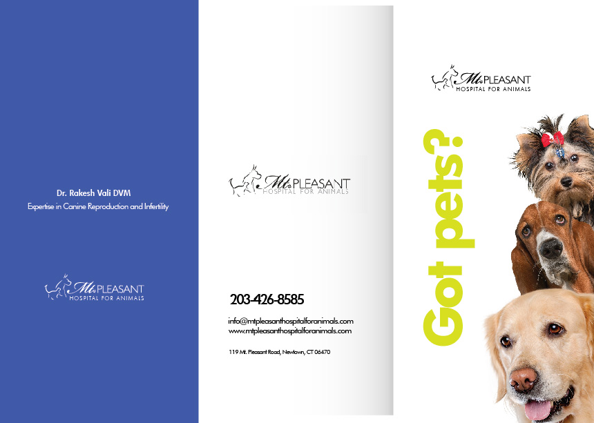 Flyer Design by Sarina.dsg for this project | Design #14496550