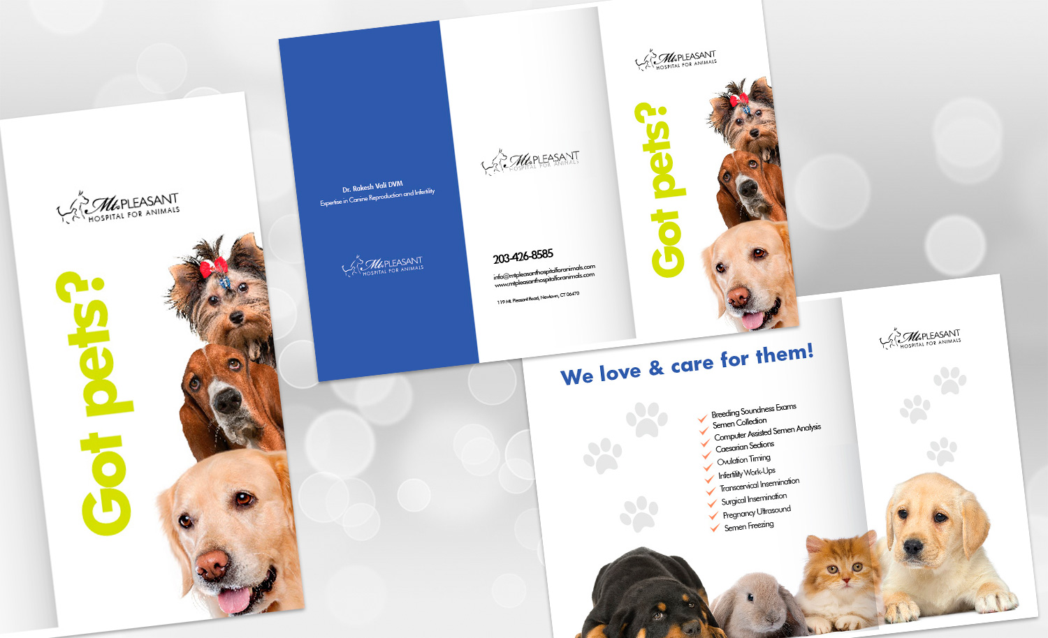 Flyer Design by Sarina.dsg for this project | Design #14496558