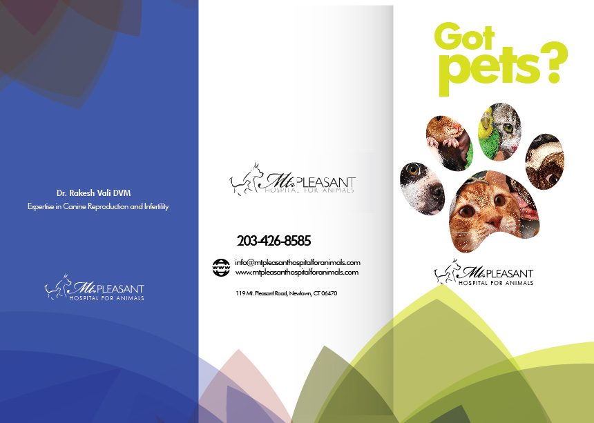 Flyer Design by Sarina.dsg for this project | Design #14496603