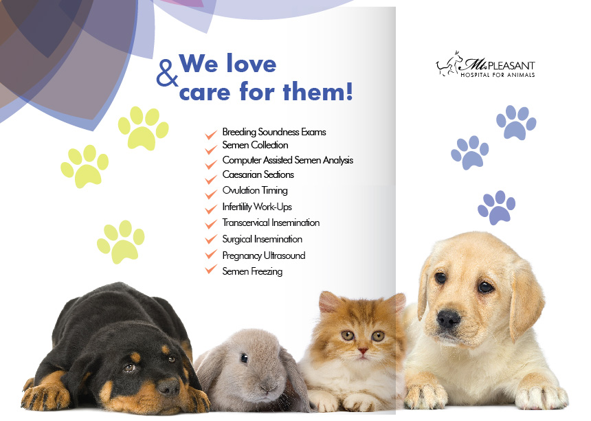 Flyer Design by Sarina.dsg for this project | Design #14496604