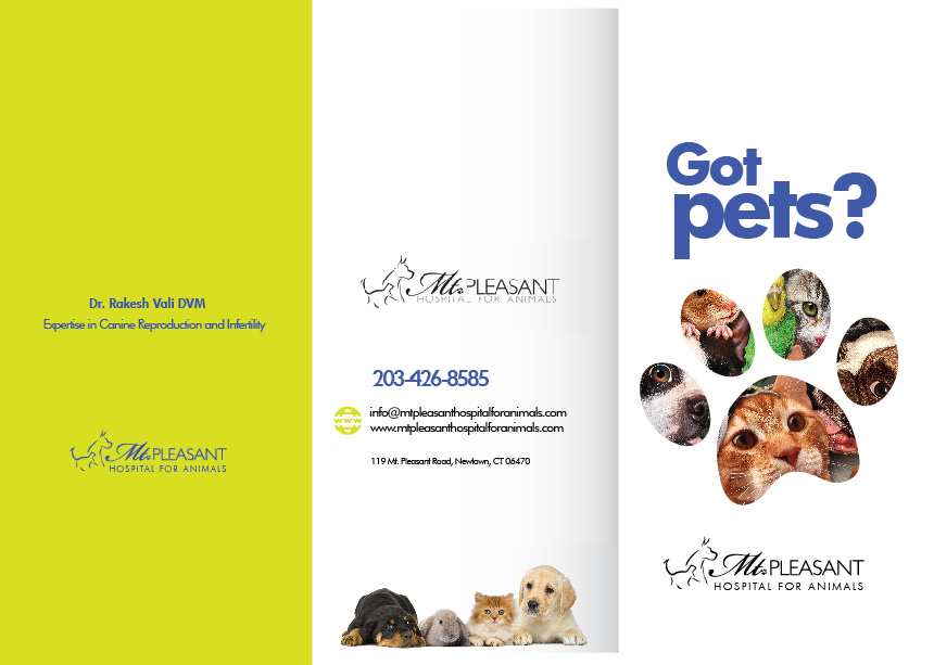 Flyer Design by Sarina.dsg for this project | Design #14496650