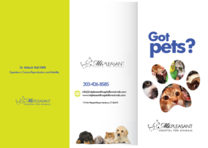 Flyer Design by Sarina.dsg for this project | Design: #14496650