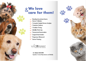 Flyer Design by Sarina.dsg for this project | Design: #14496652