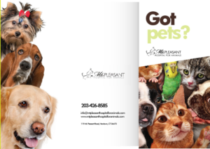 Flyer Design by Sarina.dsg for this project | Design #14506098