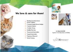 Flyer Design by Sarina.dsg for this project | Design: #14506100