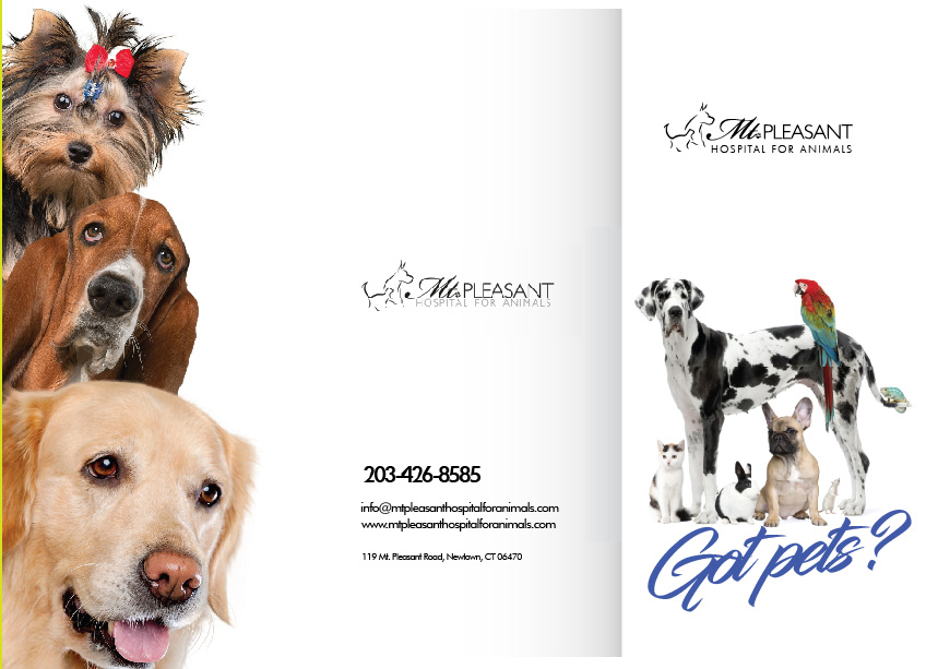 Flyer Design by Sarina.dsg for this project | Design #14506102