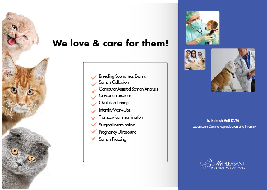 Flyer Design by Sarina.dsg for this project | Design #14506104