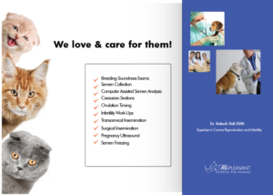 Flyer Design by Sarina.dsg for this project | Design: #14506104