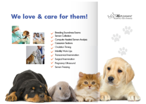 Flyer Design by Sarina.dsg for this project | Design: #14506105