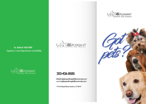 Flyer Design by Sarina.dsg for this project | Design: #14506106