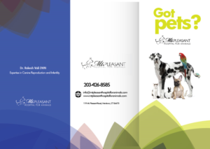 Flyer Design by Sarina.dsg for this project | Design: #14506107