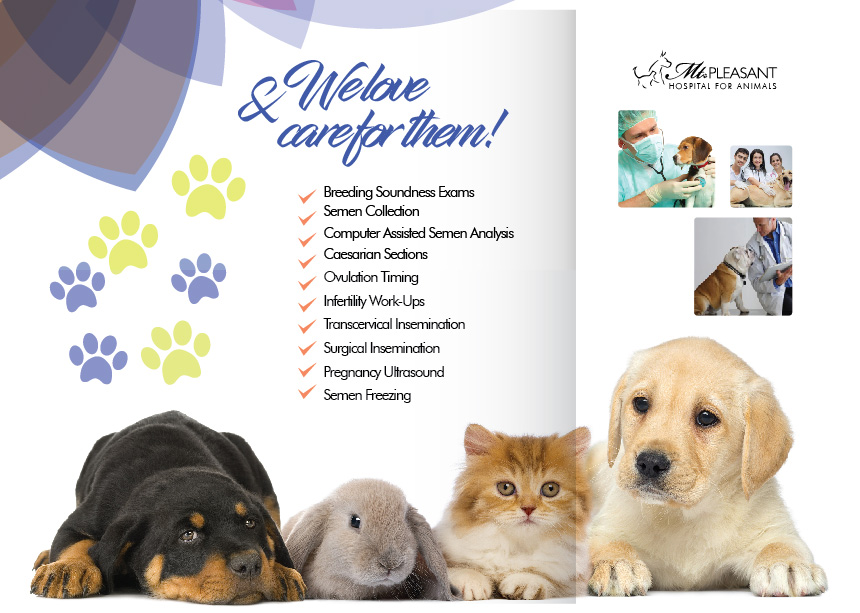 Flyer Design by Sarina.dsg for this project | Design #14506108