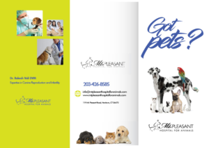 Flyer Design by Sarina.dsg for this project | Design: #14506109