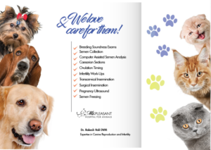 Veterinary hospital brochure design | Design de Flyer par Sarina.dsg
