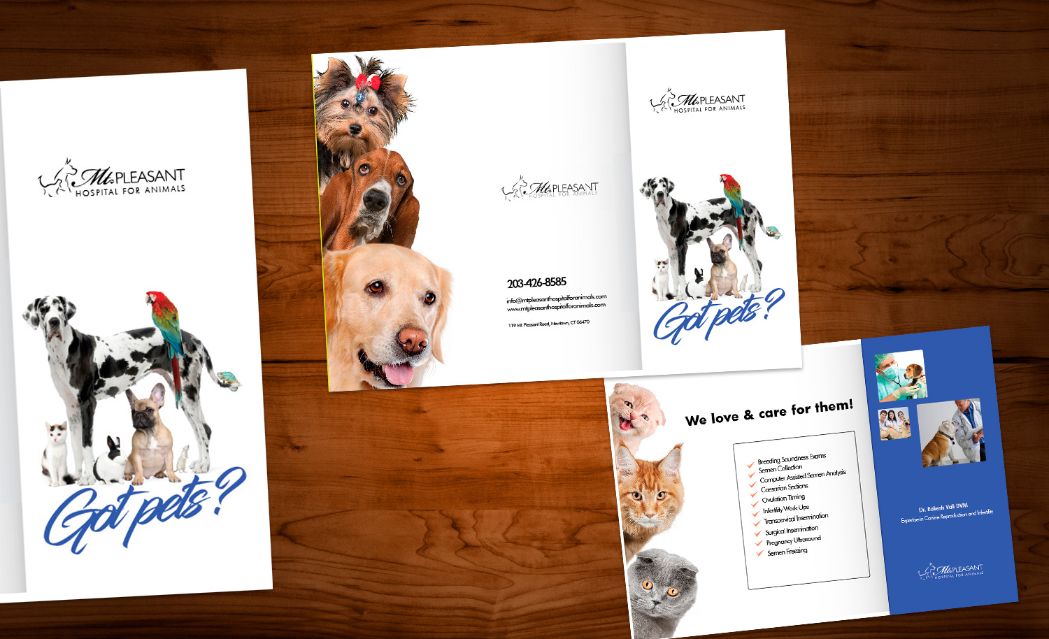 Flyer Design by Sarina.dsg for this project | Design #14506205