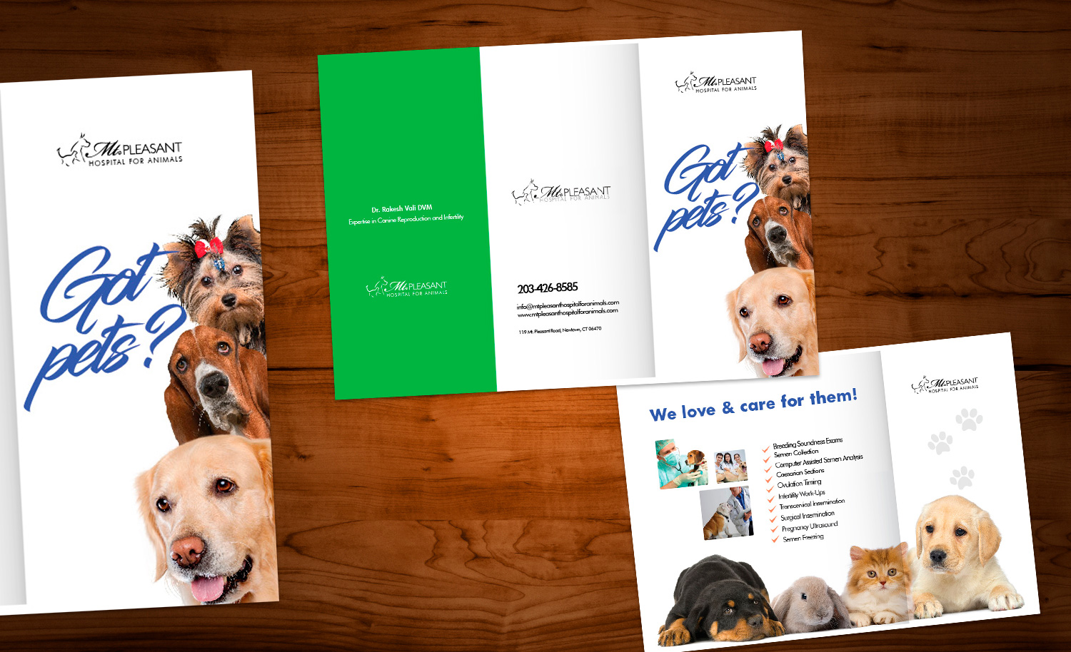 Flyer Design by Sarina.dsg for this project | Design #14506206