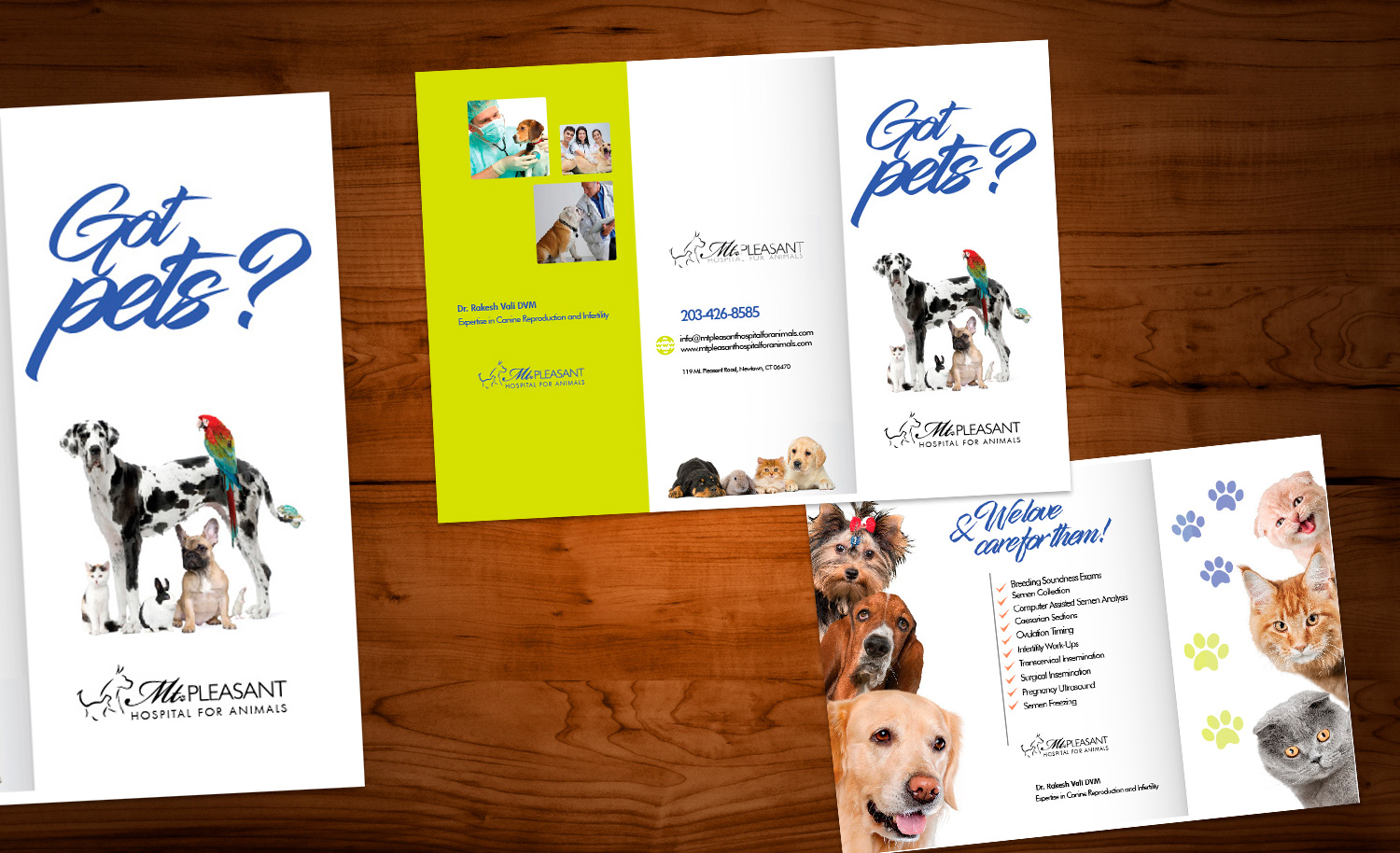 Flyer Design by Sarina.dsg for this project | Design #14506209