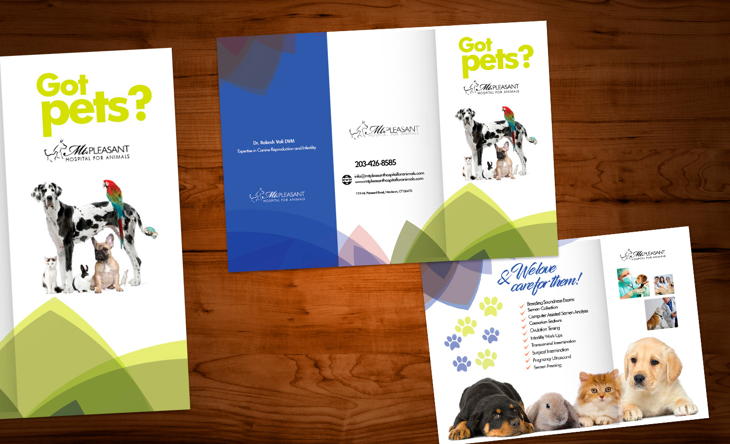 Flyer Design by Sarina.dsg for this project | Design #14506213