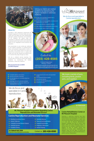 Design de Flyer par meet007 pour ce projet | Design : #14508447