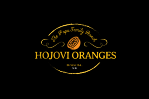Logo Design by jameslaycock2
