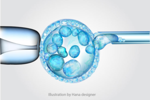 Illustration Design by Hana