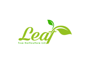 Logo-Design von creative.bugs für dieses Projekt | Design: #14522205