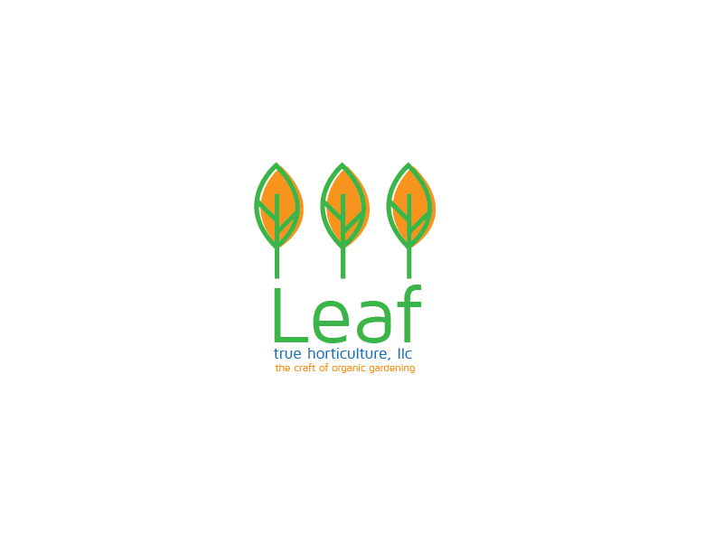 Logo Design by carabuenaeffect for this project | Design #14667543