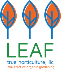 Design de Logo par carabuenaeffect pour ce projet | Design #14970282