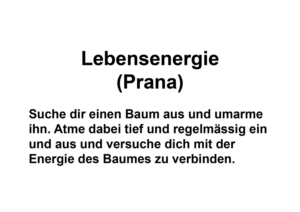 Signage Design by Pink Penguin for Verkehrsverein Trin | Design: #14589428