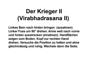 Signage Design by Pink Penguin for Verkehrsverein Trin | Design: #14589429